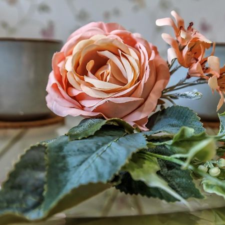 شقة Aromas De San Pedro قرطبة المظهر الخارجي الصورة